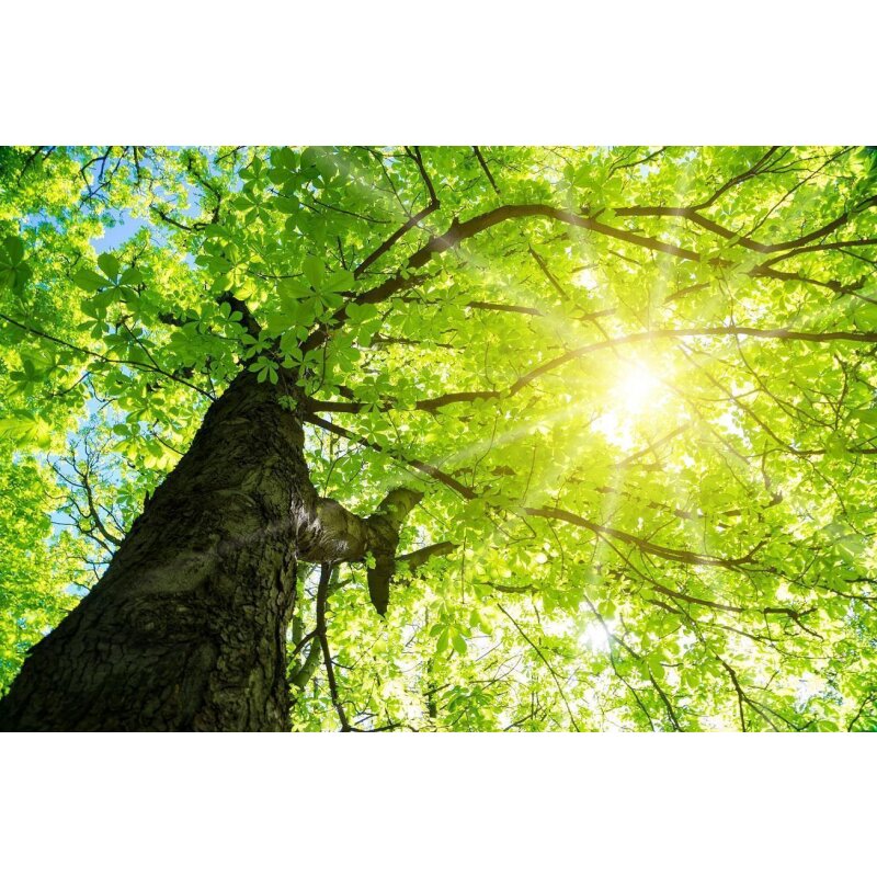 DOTLUX Motivplatte SKYLIGHT für Einbaupanels Motiv 1 Raster 1x1 für 620x620