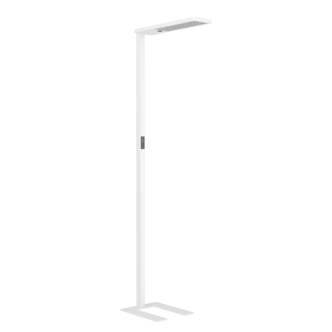 LITEN FLEXILUX LED-Bürostehleuchte Tunable White, weiss