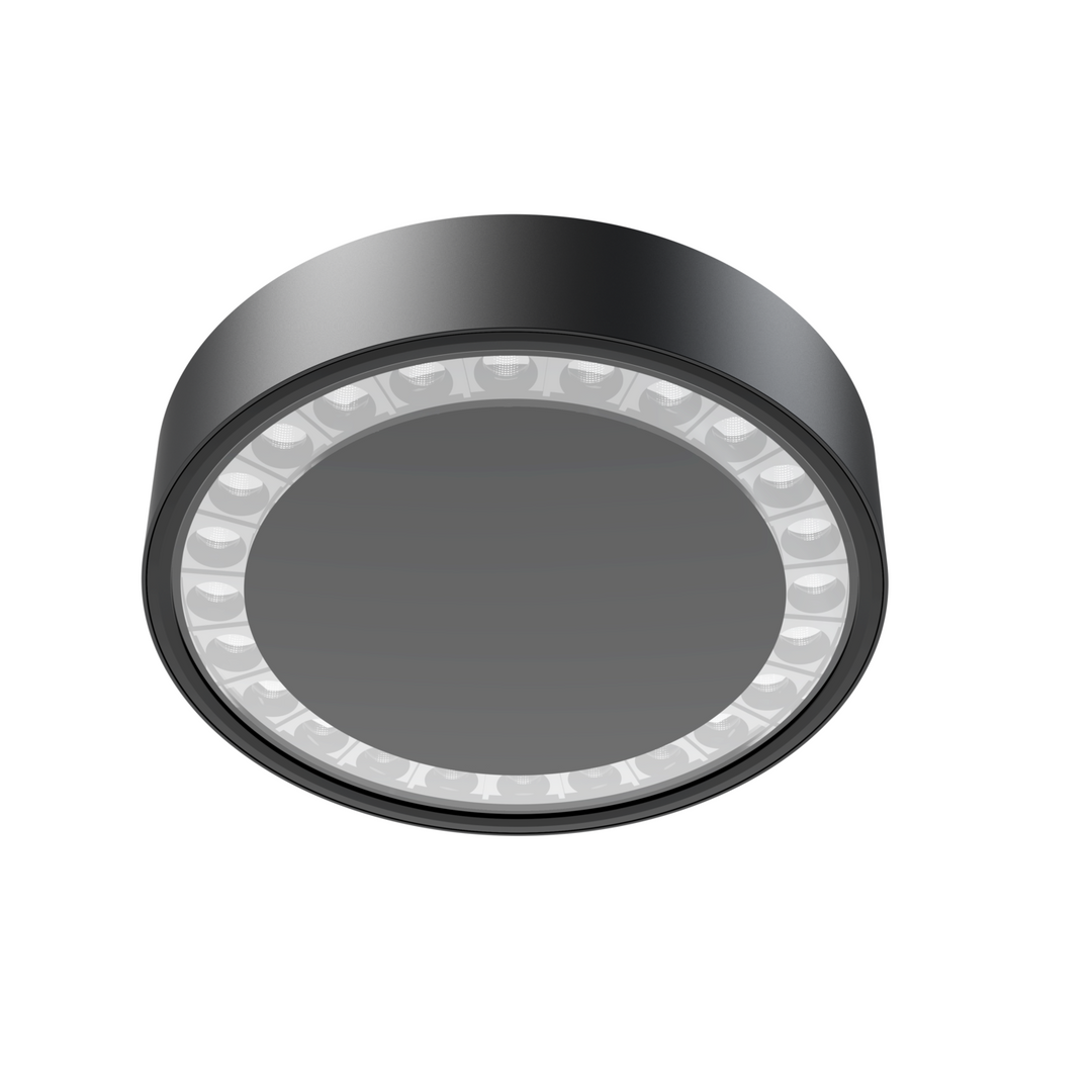 LITEN HELA LED-Deckenleuchte Ø 228 mm anthrazit, IP65, DALI2