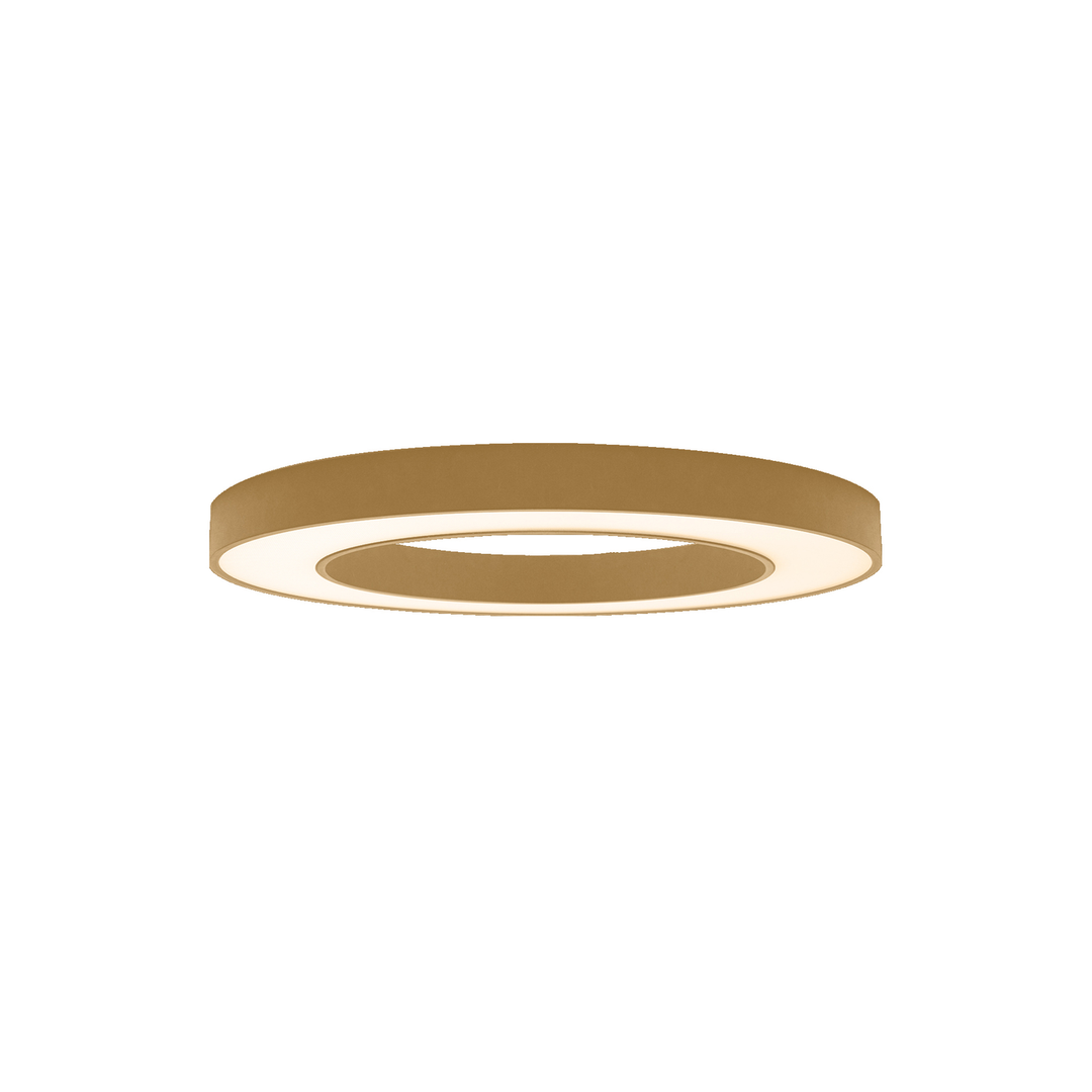 LITEN RING LED-Anbau- und Pendelleuchte Ø 600 mm, gold-brushed