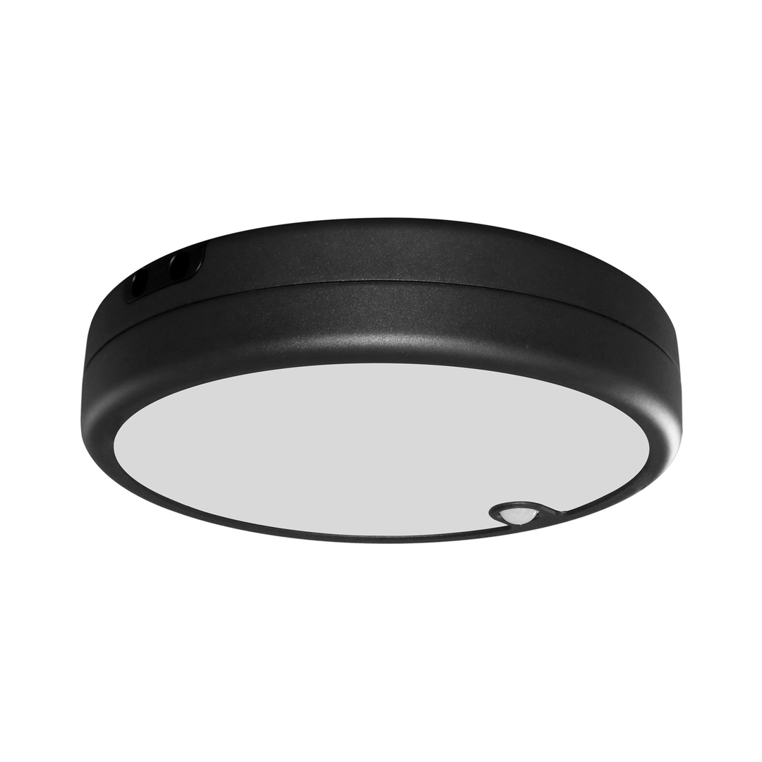 LITEN STORM III LED-Deckenleuchte Ø 325 mm anthrazit, IP65, mit Bewegungsmelder