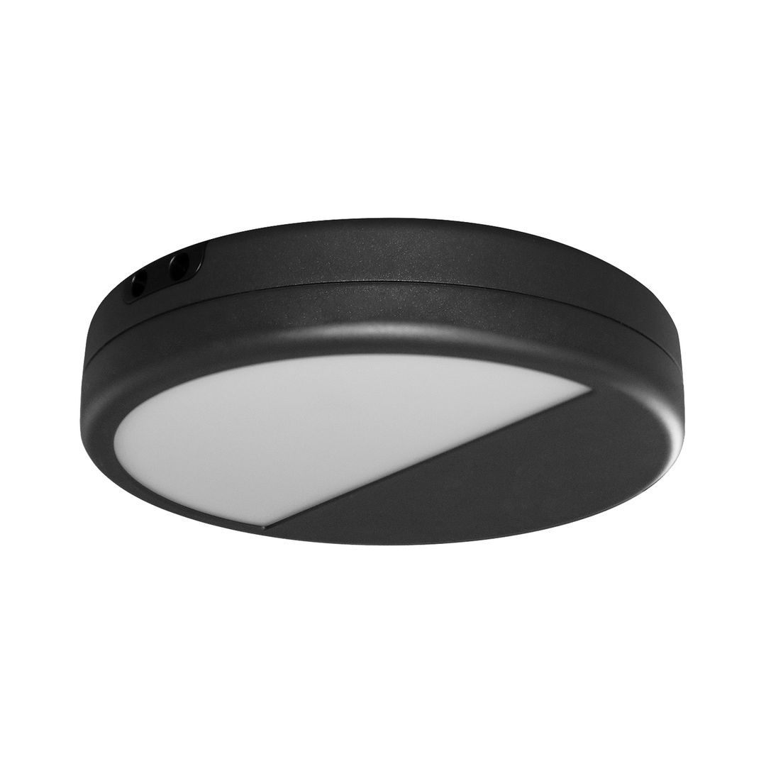 LITEN STORM III G LED-Wandleuchte Ø 325 mm anthrazit, IP65, DALI2