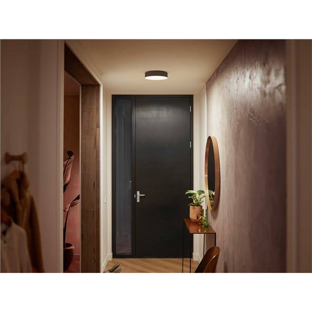 Philips Hue White Ambiance Enrave, kleine Deckenleuchte - schwarz