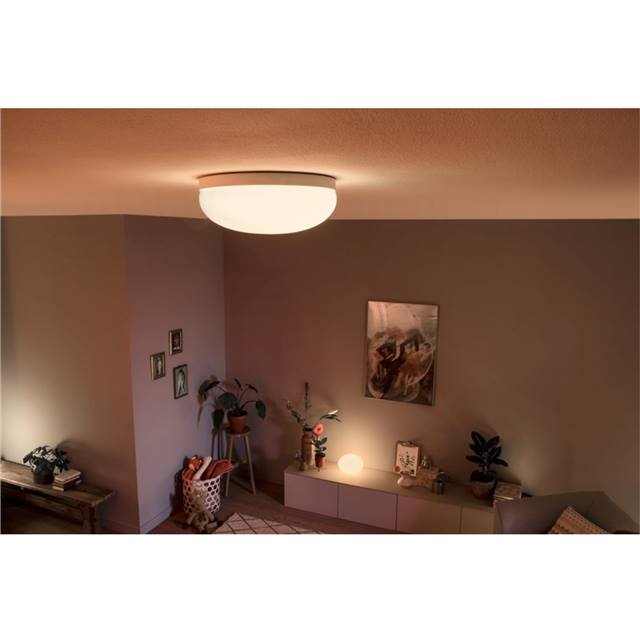 Philips Hue White & Color Ambiance Flourish Deckenleuchte